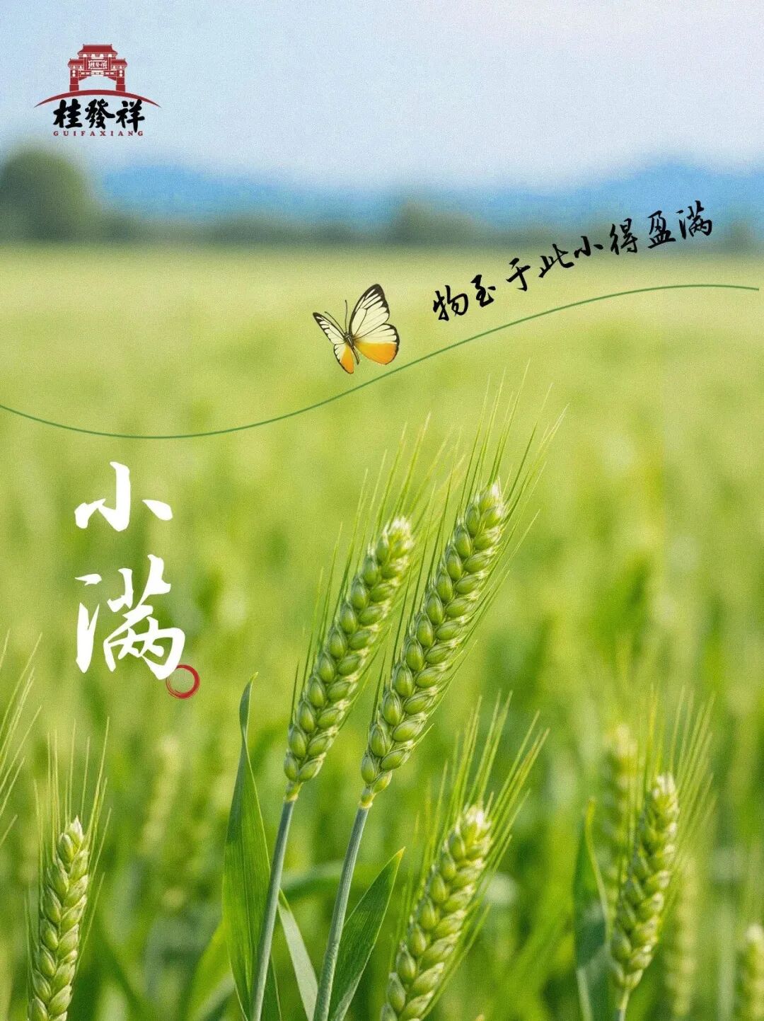 小得盈满 | 麦子在灌浆 麻花在"灌香"